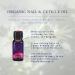 Absolute Aromas Organic Nail & Cuticle Oil 10ml - Premium Quality Oil to Nourish Strengthen and Protect - Buy Online on GoSupps.com