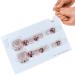Moonyan Glitter Press On Toenails - Glitter Toenails | Sparkling Cat's EyeToenail Glossy Fake Toe Nails Manicure Art Easy to Apply for Women Girls for Summer - Buy Online on GoSupps.com