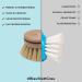 Chinchilla 4-Set Change Heads for Wash Brush | Vegan Natural Bristle Replacement Heads | Universal Flush Brush Heads | Sustainable Zero Waste Kitchen Solutions - Buy Online on GoSupps.com