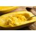 SAFLAX - Gift Set - Organic - Squash - Spaghetti - 5 Seeds - with Gift Box Card Label and Potting Substrate - Cucurbita Pepo - Buy Online on GoSupps.com