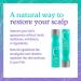 Malibu C Scalp Wellness Collection Set - Revitalize Your Scalp Health - Buy Online on GoSupps.com