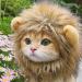 Lion Mane Wig for Cat - Pet Fancy Dress up Cat Wig with Ears Lion Mane Costume for Cat Washable Comfy Lion Hair Cat Clothes for Cosplay Holiday Photo Shoots Party Activity (Yellow L) L Yellow - Buy Online on GoSupps.com