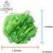 Buy 20 Large Elegant Zari 40g Golden Lace Bath Loofahs - Wholesale Bulk Assorted Colors | Premium Shower Accessories - Buy Online on GoSupps.com