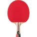 STIGA Blaze Table Tennis Racket - Premium Quality Ping Pong Paddle - Buy Online on GoSupps.com