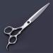 Hair Scissors Hairdressing Scissors Stainless Steel Blade Sharp Hair Scissors Hair Scissors Professional Cutting Scissor for Barber Stylist 6 Inch - Buy Online on GoSupps.com