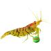 Sera Plankton Tabs Nature 100ml - Aquarium Falling Feed Tablets with 7% Krill for Natural Color Development | Snail Lining - 1 Pack - Buy Online on GoSupps.com