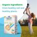 Danalac Organic Baby Porridge Sugar Free 200g - Rice Flakes (Pack of 3) | Healthy Infant Nutrition - Buy Online on GoSupps.com