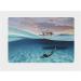 Dome Port for GoPro Hero 12 11 10 9 Black - Waterproof Housing & Underwater Protection with Anti-Fog Insert - Buy Online on GoSupps.com