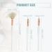 VOCOSTE 3pcs Makeup Brush Set - Face Concealer Eyeshadow Smudger & Highlighter Brushes | Premium Quality with Wooden Handles - Perfect for Flawless Makeup Application - Buy Online on GoSupps.com