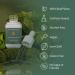 Apoth kary Your Wildest Greens Herbal Liquid Drops All-in-One Daily Superfood Supplement Vitamin & Mineral Support 5X Potency of Greens Powders Sugar Free Calorie Free (15 Servings) 1.22oz - Buy Online on GoSupps.com