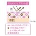 Cezanne Silk Cover Powder Refill - 02 Natural | Buy Online - Buy Online on GoSupps.com