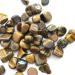 Buy Yellow Tiger S-Eye Baroque Stone - Natural Crystal Gravel for Healing (50g 100g 1000g) - Ideal for Aquariums - Buy Online on GoSupps.com