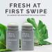 Cleo+Coco Natural Deodorant for Women | Aluminum-Free Organic Coconut Oil & Activated Charcoal | 24-Hour Odor Protection | Scent Free | Made in the USA - 2.5oz - Buy Online on GoSupps.com