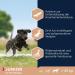 Eukanuba Junior Dog Food with Fresh Chicken for Large Breeds - Premium Dry Food 3 kg Pack - Buy Online on GoSupps.com