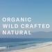 Organic Glow Medium Tanning Cream | Clean Non-Toxic Sunless Tanning for Face & Body - Chocolate Sun 8 oz - Buy Online on GoSupps.com