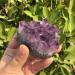 Specimen 142g Natural Dream Amethyst Quartz Crystal Cluster Specimen - Buy Online on GoSupps.com
