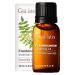 Gya Labs Pure Frankincense Essential Oil for Pain & Skin (0.34 fl oz) - 100% Natural Therapeutic Grade Frankincense Essential Oils for Aromatherapy & Frankincense Oil for Diffuser Frankincense 0.34 Fl Oz (Pack of 1)