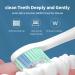 WHITOP CD-14 Sonic Electric Toothbrush for Adults | Rechargeable, 4 Modes, Pressure Sensor, Smart Timer | IPX8 Waterproof | Black - Buy Online on GoSupps.com