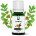 NPOW Jojoba Oil - 100% Pure & Natural Organic Jojoba Oil For Hair Face Body Beard Nails & Hair Growth Oil - Jojoba Oil For Skin Deeply Moisturizing Cold Pressed Jojoba Oil Vegan Friendly - 10ml 10 ml (Pack of 1)