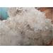 Natural Clear White Quartz Crystal Cluster Specimen 2563g Home Collections - Buy Online on GoSupps.com