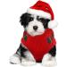 Katzinst Christmas Dog Sweater for Small Dogs | Fleece Sweaters for French Bulldogs Dachshunds Chihuahuas & Yorkies - Festive Red & Green Designs - Buy Online on GoSupps.com