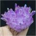 Amethyst 1pc Quartz Crystal Purple Rainbow Titanium Cluster 300G - Buy Online on GoSupps.com