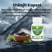  Morsan Healthcare Shilajit (Asphaltum) Capsules | Pack of 60 x 500 mg Vegetarian Capsules | Natural Food Supplement | GMP Certified | Gluten-Free (240) - Buy Online on GoSupps.com