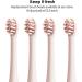 Pink Series Ultra Whitening Electric Toothbrush ADA Accepted 5 Modes 42 000 VPM 50 Days Power Type-C Fast Charge Buy Internationally - Buy Online on GoSupps.com