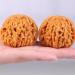Togepp 2-Piece Walnut Exercise Balls Acupuncture Massage Health Handballs for Therapy & Wellness in International Shipping - Buy Online on GoSupps.com