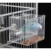 Automatic Bird Feeder - No Mess Seed Food Container for Canaries Nymphs & Parakeets - Gurecod 16x16x16cm - Buy Online on GoSupps.com