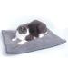 Pet Magasin Cat Self-Heating Thermal Bed - Small Pets Medium & Small - Buy Online on GoSupps.com
