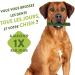 Whimzees Grain-Free Dental Care Snacks for Large Dogs - 14 Multi-Fold Box Couch Sticks | Natural Treats - Buy Online on GoSupps.com