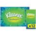 Kleenex 4-Layer Balm Handkerchiefs for Colds & Allergies - 108 Tissues in 16 x 12 Packs | Ideal for Sensitive Skin - Buy Online on GoSupps.com