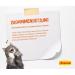 Josera Pat Huhn with Spinach - Cereal-Free Cat Food with Salmon Oil | Super Premium Wet Food for Adult Cats | 16 x 85g Pack - Buy Online on GoSupps.com