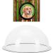 Dog Fence Window Dome Pet Peek Window Acrylic Dog Dome for Backyard Fence Dog/cat/Horse Pet Accessories - Buy Online on GoSupps.com