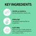 CICA Green Cream 1.7oz | 100% Vegan EVE Vegan Certified Cruelty-Free | Best Vegan Acne Treatment & Skin Balancer - Buy Online on GoSupps.com