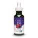Wisdom Natural - St via liquide baie 60ml