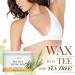 GiGi Tea Tree Cream Wax | Soothing Hair Removal Formula 396g - International Shipping Available - Buy Online on GoSupps.com