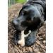 Nylabone Maximum Strength Extreme Gourmet Wishbone - Chicken Flavored Dog Chew for Large Dogs (0-23kg) - Buy Online on GoSupps.com