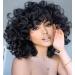 FOVER Short Curly Wigs for Black Women 14'' Black Big Curly Wig with Bangs Afro Kinky Soft Curls Hair Replacement Wig Heat Resistant Natural Looking Synthetic Wig (Big Curly) FE013BK 14 Inch Black
