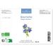 Huile de Bourrache BIO - Fra cheur Garantie OxyCert - Vierge & de 1 Pression Froid 100mL - Buy Online on GoSupps.com
