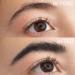 2-Pack Tinted Eyebrow Mascara Gel Set - Waterproof Long Lasting & Cruelty-Free Eyebrow Cream with Brush | Thickening Tint 0.8 Fl Oz (03# BLACK - Buy Online on GoSupps.com