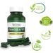 Bixa BOTANICAL Andrographis Extract 20% Andrographolide 60 Veg Capsules - Natural Liver Tonic & Immunity Support Supplement - Buy Online on GoSupps.com