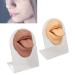 Buy Soft Tongue Mouth Model for Beginners - Piercing Tongue Model for Salon Use | International Shipping Available - Buy Online on GoSupps.com