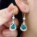 Women s Lymphatic Earrings - Crystal Slimming & Detox Magnetogen Jewelry for Weight Loss - Buy Online on GoSupps.com