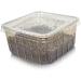 Livefoods4u Live Springtails - Perfect for bioactive set ups (Pre Pack) - Buy Online on GoSupps.com