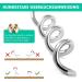 2 Pack Dog Training Endanger Posts with Spring & Earth Anchor - Durable Camping Leash Attachments for Large Dogs - Buy Online on GoSupps.com