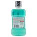 Buy Listerine Dental Care & Gingivitis Mouthwash 250ml - Fresh Breath & Oral Hygiene | International Shipping - Buy Online on GoSupps.com