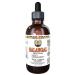Galangal Root Alcohol-Free Liquid Extract Organic Organic Galangal (Alpinia Galangal) Dried Root Glycerite Hawaii Pharm Natural Herbal Supplement 4 oz