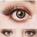 Aricona Brown Contact Lenses - Annual Colored Lenses for Big Eyes Effect | Non-Prescription - 2 Pieces - Buy Online on GoSupps.com
